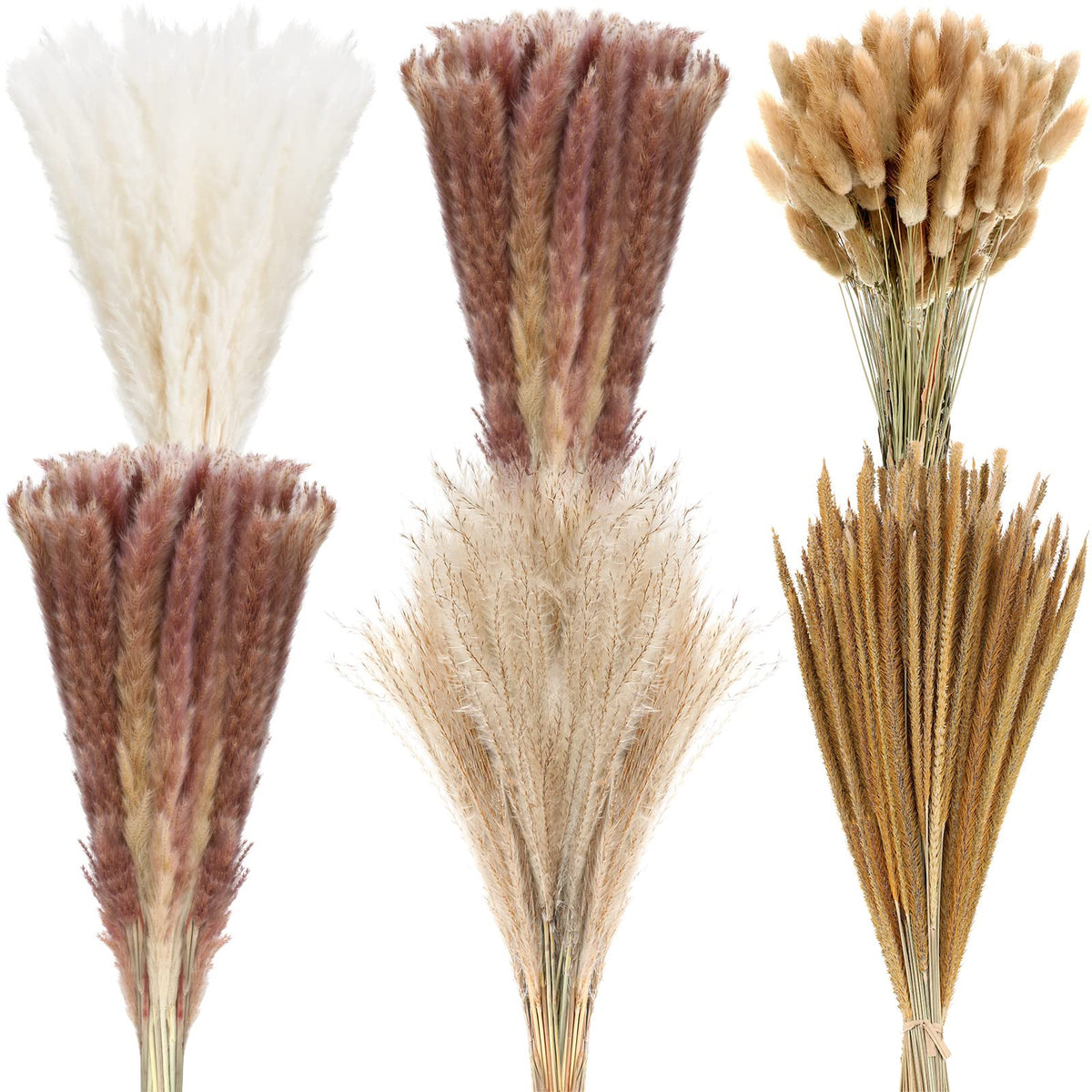 330 Pcs Dried Pampas Grass Decor, 17 Inch Dried Flower Plants Bulk White and Brown Pampas Grass Reed Bunny Tails Bouquet for Wedding Boho Home Table Decor Rustic Farmhouse Party Decoration