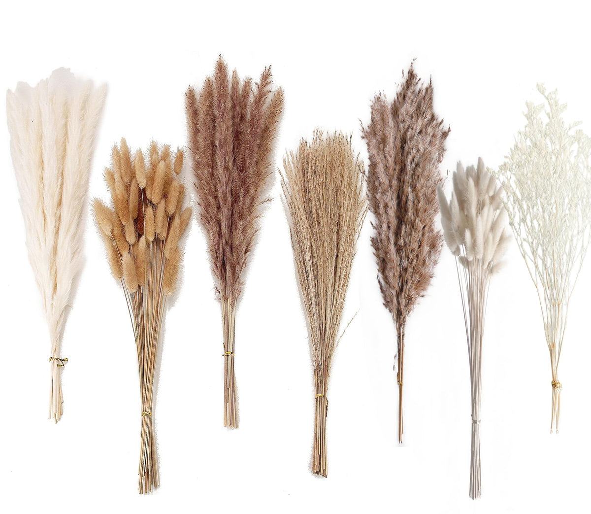 10 PCS 40" Tall Pampas Grass Stems in Natural Beige, Add a Boho Touch to Your Space—Pompas Grass Ideal for Floral Arrangements, Floor Vases, Weddings, and Creating a Bohemian Ambiance at Home.