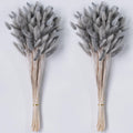 120 PCS White Dried Pampas Grass Decor, 17-inch Pompas Floral, Dry Flowers for Decoration, Pampas Grass in Bulk Tall, White Bunny Tails Dried Flowers for Boho Wedding