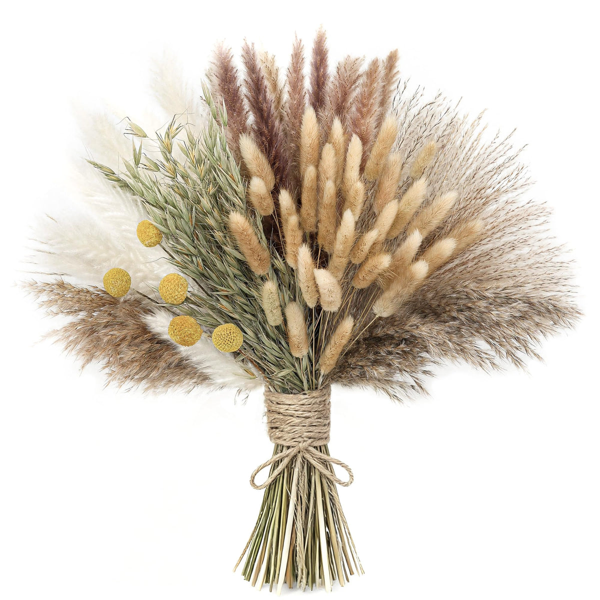 xin's convey 120 PCS Dried Pampas Grass, Dried Flowers, Reed Grass Bouquet for Bohemian Flowers Home Table Wedding Decoration, Rustic Farmhour.(Light Brown)