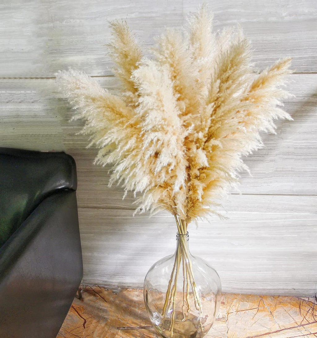 10 Stems 46" inch Dried Pampas Grass Decor Tall, Large Pompas Grass, Boho Neutral Home Decor Bouquet, Fluffy Pampass Grass for Floor Vase Wedding Floral Arrangements Wall Farmhouse Table Decor