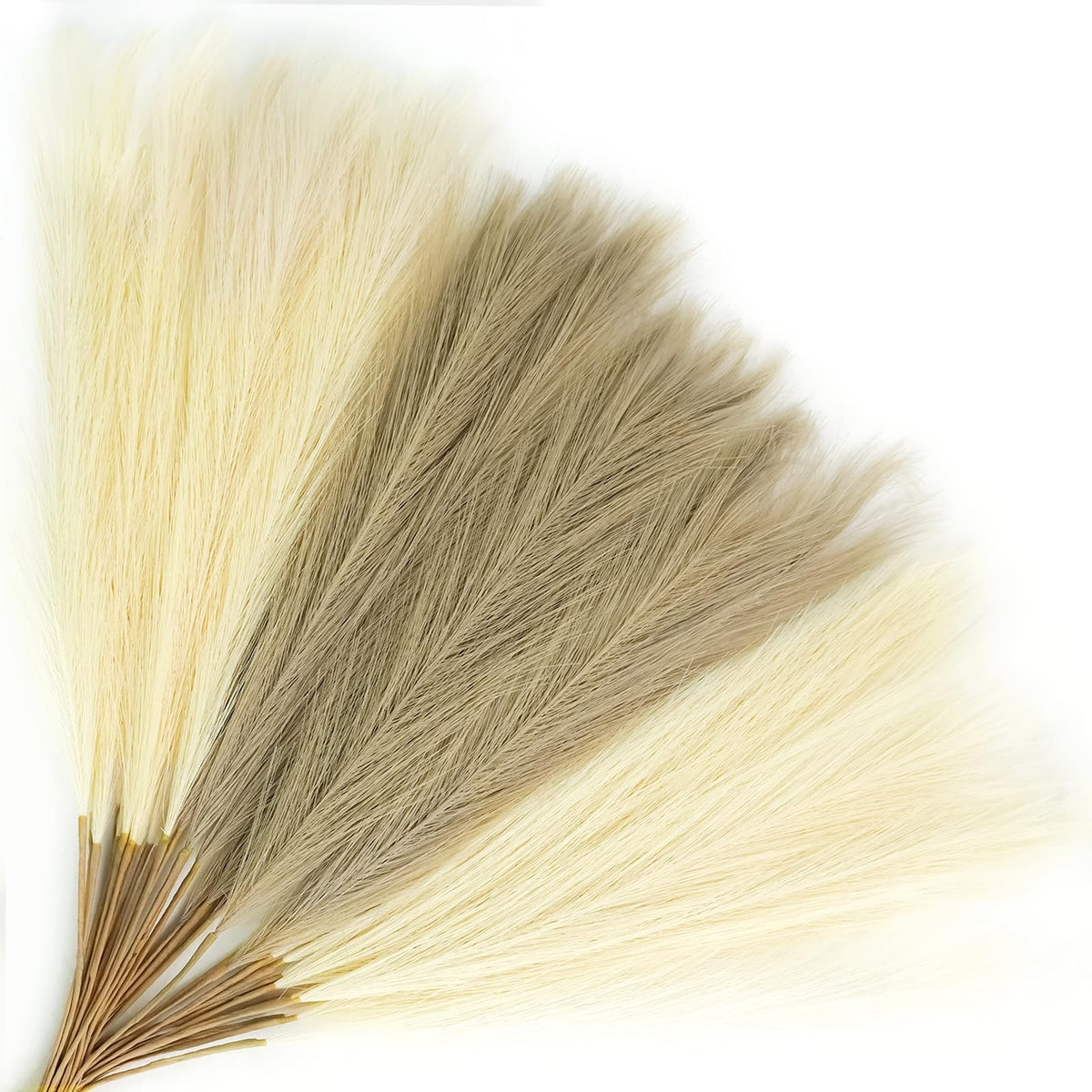 Agusbagli 30pcs Black Faux Pampas Grass Tall, 21.6in Artificial Colored Pompas Grass Short Fluffy Fake Pampas Stems Vase Filler Flower Arrangement for Home Wedding Centerpieces Boho Decor