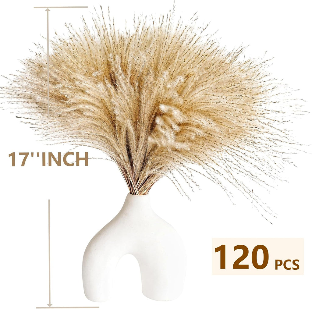 120 PCS Exquisite Natural Pampas Grass Decor - Versatile Reed Grasses for Home & Event Decoration, Pompous Fluffy Tall Dried Reed Grass - Perfect for Vases, Wreaths & Table Centerpieces