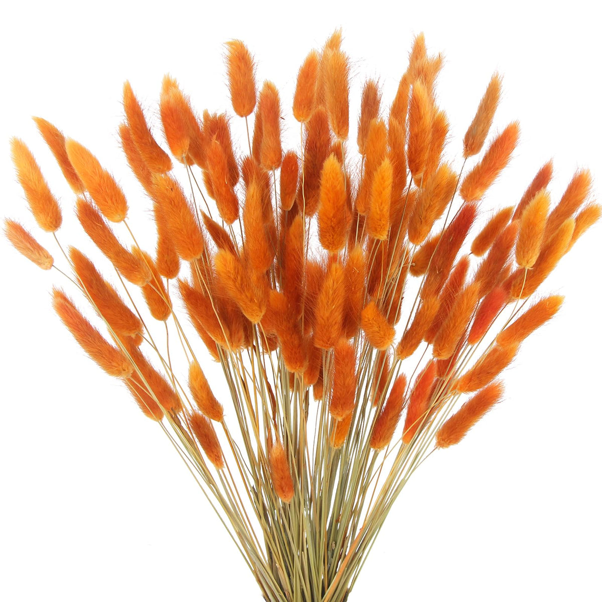 CISDUEO 120pcs Dried Bunny Tails Flowers Lagurus Ovatus Tail Dried Flowers Pampas Grass White and Gray Natural Dried Floral Arrangement for Boho Decor Home Wedding DIY Farmhouse Table Christmas (17")