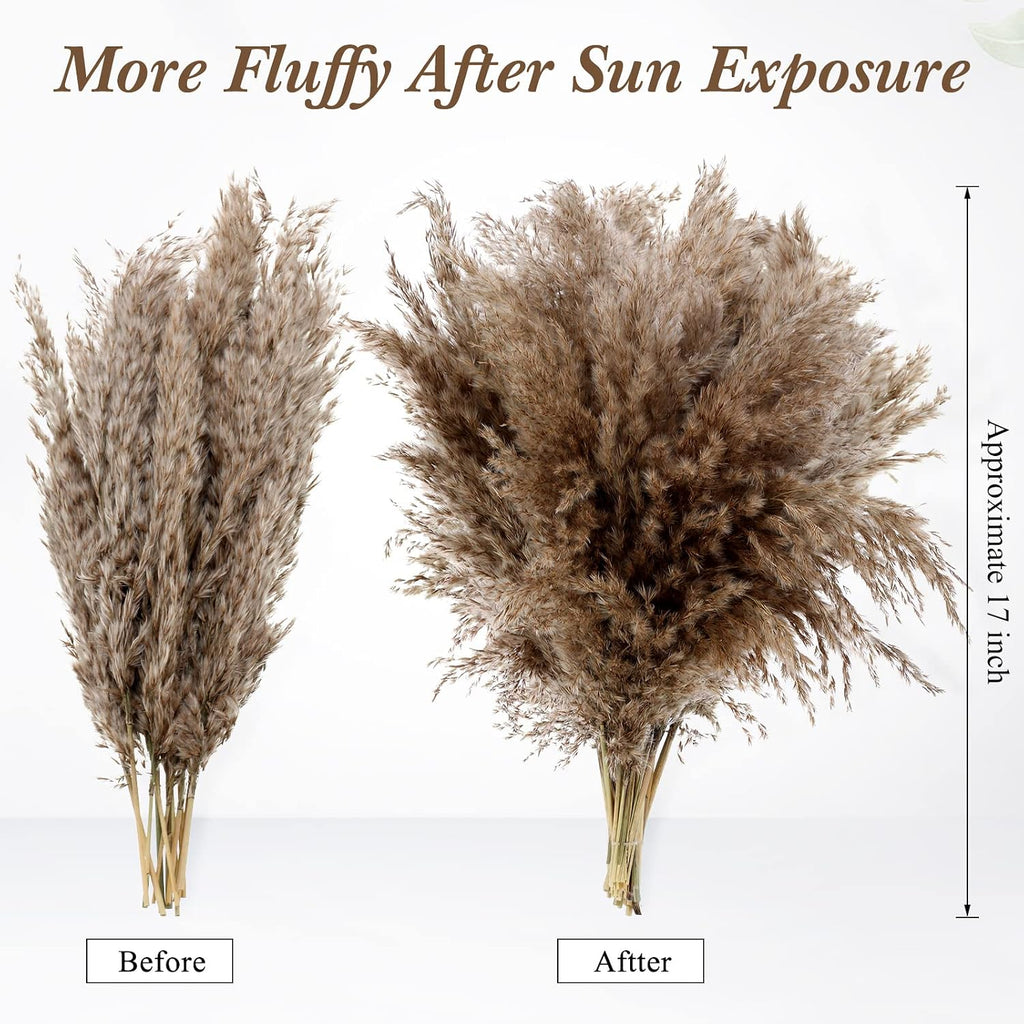 Janinka 100 Pcs Dried Pampas Grass Decor Bulk 17 Inch, Brown