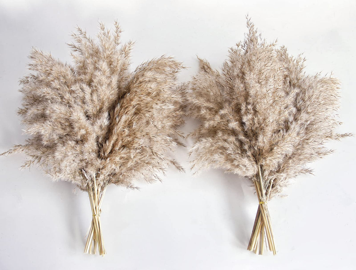 40PCS White Pampas Grass for Home Decor - Elegant Boho Decor - Premium Quality Pampas Grass Stems - Perfect for House, Nursery, Western, Wedding, Table, and Bohemian Decor