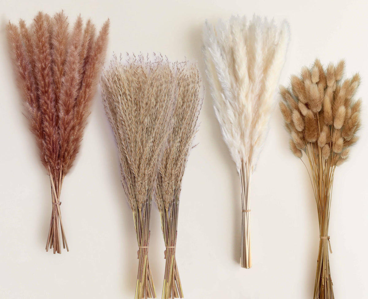 110 Stems 17" Dried Pampas Grass, Boho Table Decor Natural Reed Phragmites Grass + Brown & White Pampas Grass + Bunny Tails Flowers Bouquet for Wedding Floral Arrangements Farmhouse Home Rustic Wall