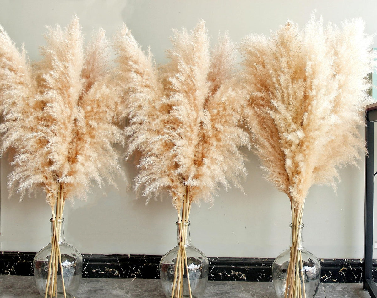 40" inch 10 Stems Natural Pampas Grass Decor Tall, pompas Grass, Tall Pampas Grass for Wedding, Party, Farmhouse, Boho Home Decor