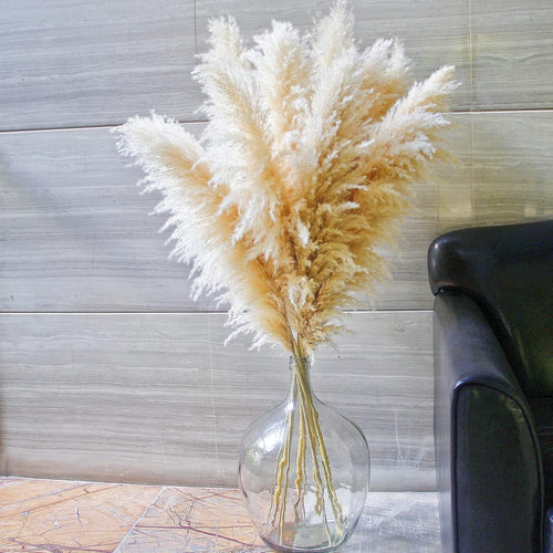 10 Stems 46" inch Dried Pampas Grass Decor Tall, Large Pompas Grass, Boho Neutral Home Decor Bouquet, Fluffy Pampass Grass for Floor Vase Wedding Floral Arrangements Wall Farmhouse Table Decor