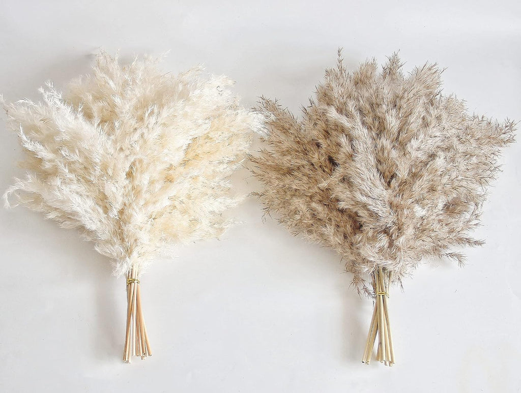 30 PCS Boho Decor, Fluffy Pompas Grass, Natural Dry Pampas Grass Small, Short Pampass Bulk for Boho Room, Coffee Table Decor (17 inch )
