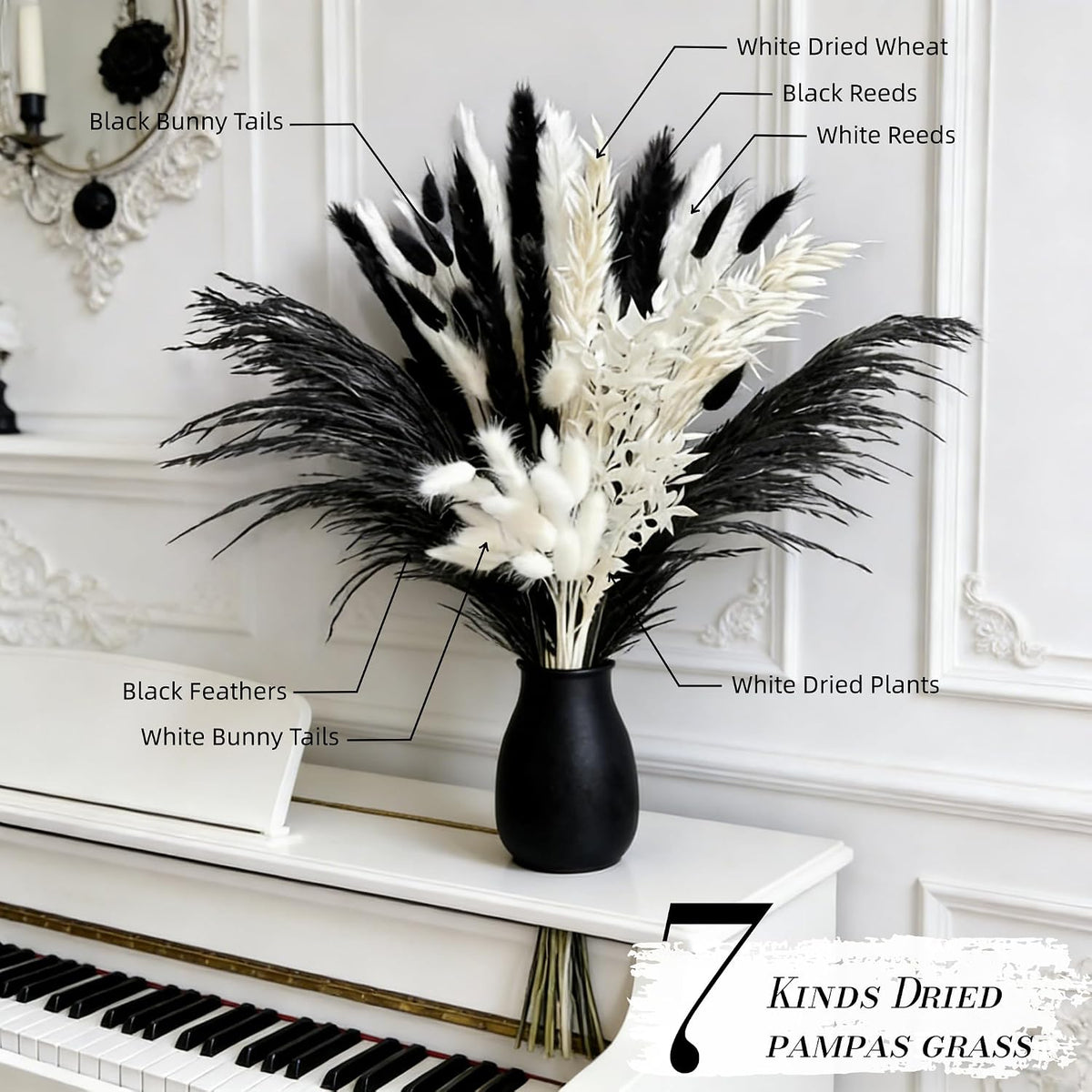 Black and White Pampa Grass Dried Flowers 50Pcs
