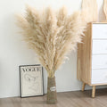 Wertuirk 9 Stems Dried Pampas Grass Decor Tall 48''/4 FT
