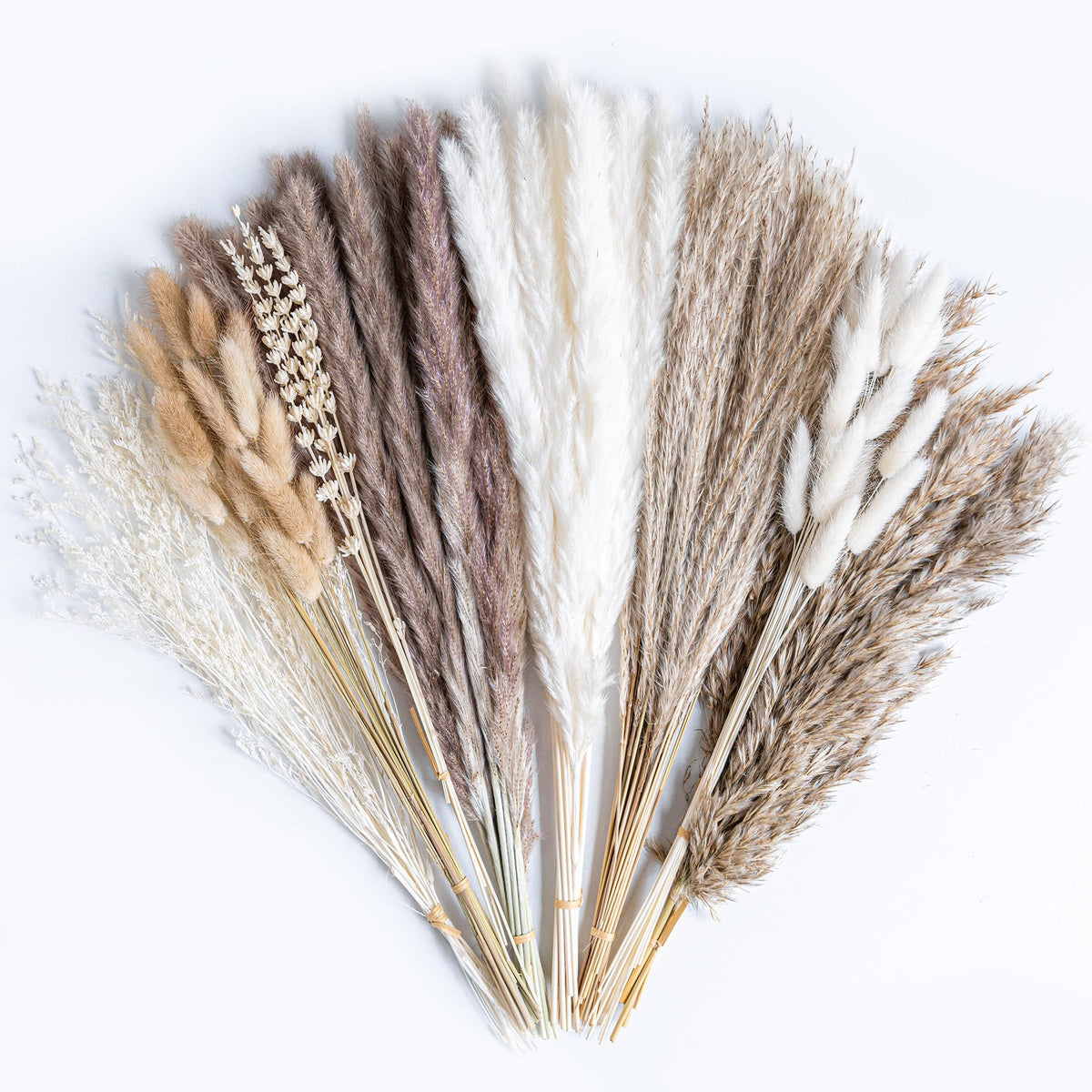 96PCS Natural Dried Pampas Grass Boho Home Decor Bouquet Phragmites Dried Flowers Bouquet for Wedding Floral Arrangements Living Room Decorations (96PCS)