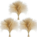 120 PCS Exquisite Natural Pampas Grass Decor - Versatile Reed Grasses for Home & Event Decoration, Pompous Fluffy Tall Dried Reed Grass - Perfect for Vases, Wreaths & Table Centerpieces