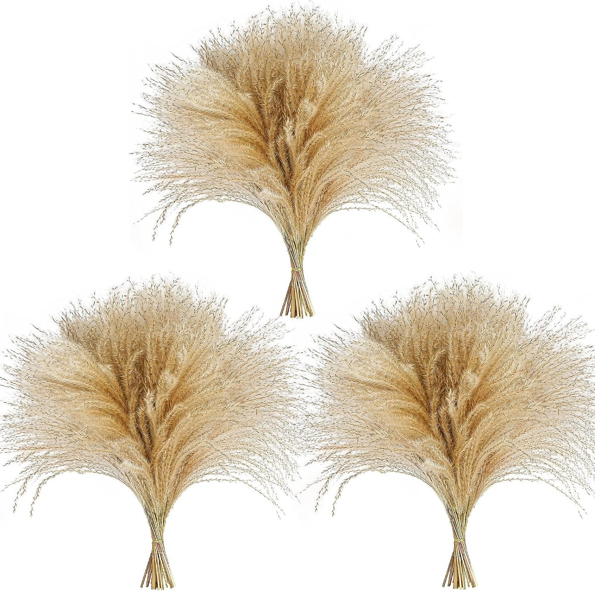 120 PCS Exquisite Natural Pampas Grass Decor - Versatile Reed Grasses for Home & Event Decoration, Pompous Fluffy Tall Dried Reed Grass - Perfect for Vases, Wreaths & Table Centerpieces
