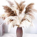 40PCS Tall Pampas Grass Stems 17" for Floor Vase Decor