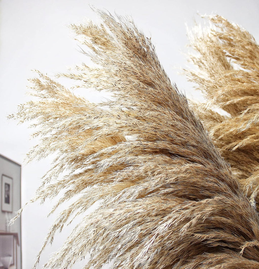 Natural Pampas Grass Decor Tall, Pompas Grass, Tall Pampas Grass for Weddingm, Farmhouse, Boho Home Decor (Brown)