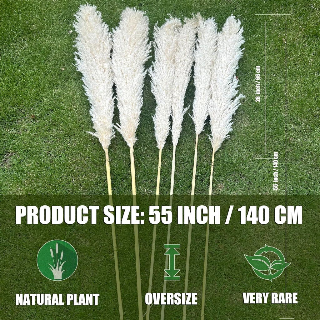 55" inch Scarcity Natural Pampas Grass Decor Tall, pompas Grass, Tall Pampas Grass for Wedding, Party, Farmhouse, Boho Home Decor