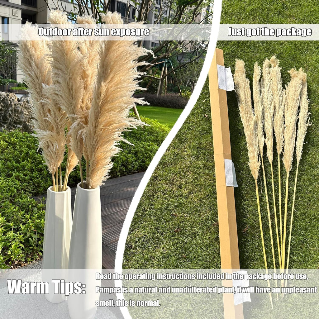 55" inch Scarcity Natural Pampas Grass Decor Tall, pompas Grass, Tall Pampas Grass for Wedding, Party, Farmhouse, Boho Home Decor