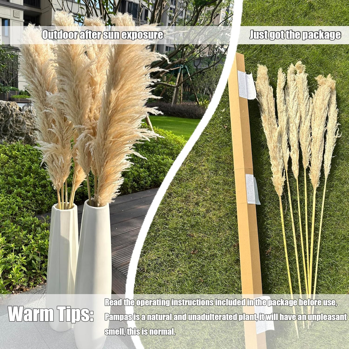 55" inch Scarcity Natural Pampas Grass Decor Tall, pompas Grass, Tall Pampas Grass for Wedding, Party, Farmhouse, Boho Home Decor