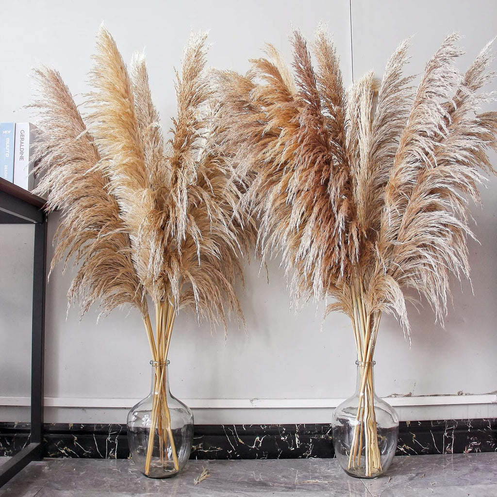 Natural Pampas Grass Decor Tall, Pompas Grass, Tall Pampas Grass for Weddingm, Farmhouse, Boho Home Decor (Brown)