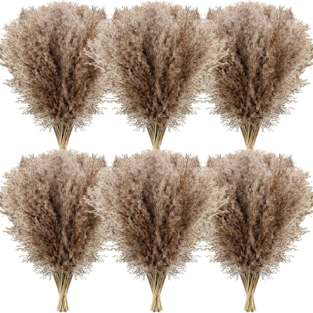 Janinka 100 Pcs Dried Pampas Grass Decor Bulk 17 Inch, Brown