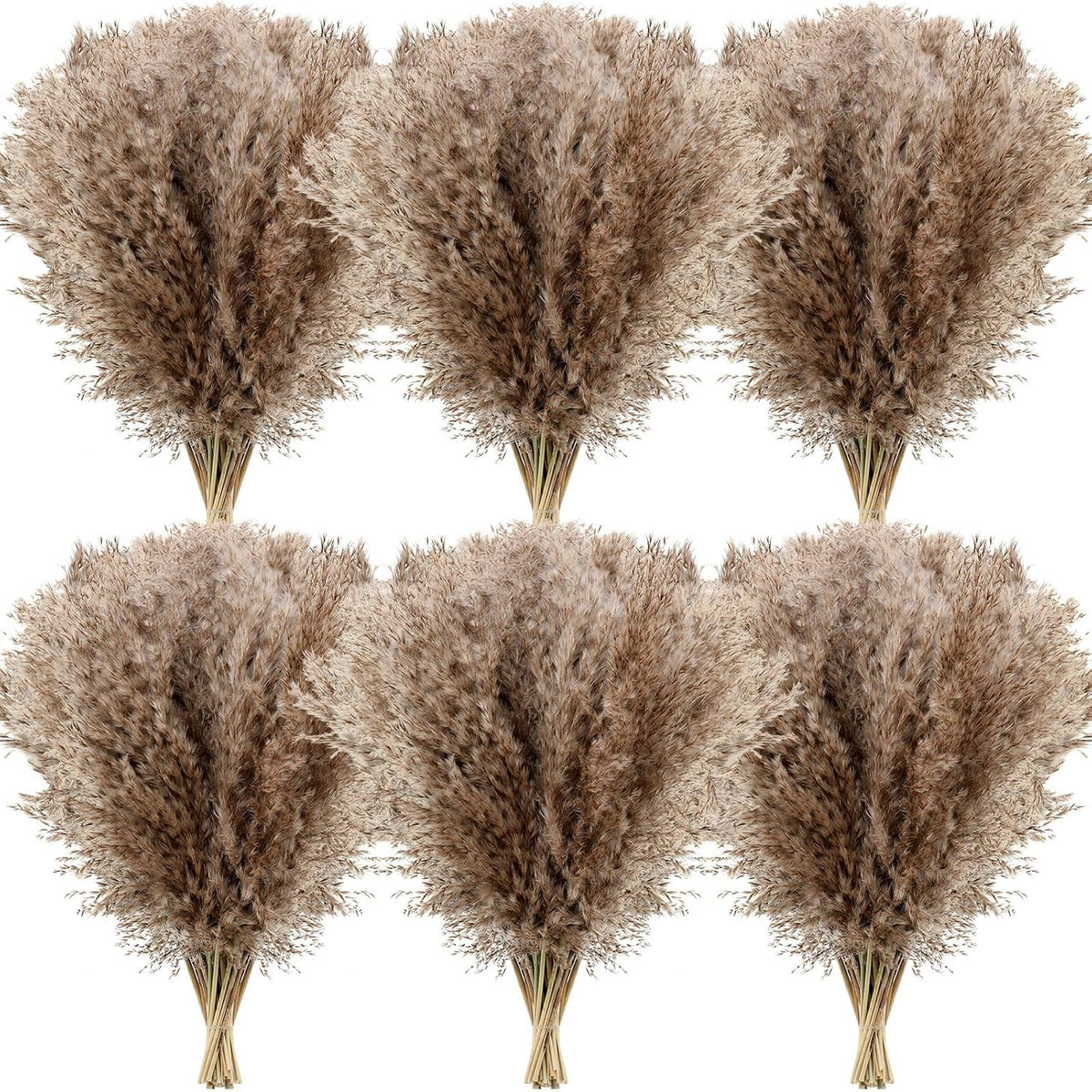 Janinka 100 Pcs Dried Pampas Grass Decor Bulk 17 Inch, Brown