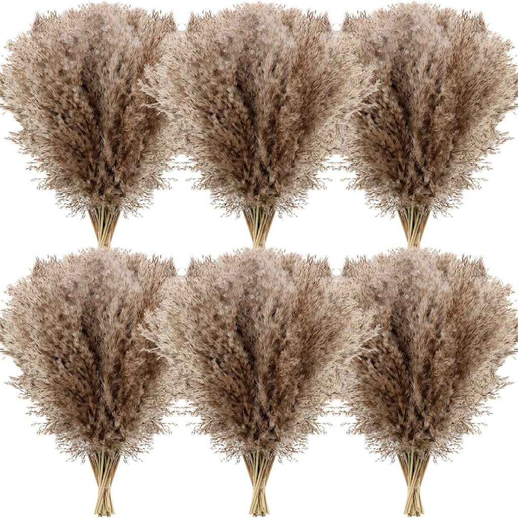 Janinka 100 Pcs Dried Pampas Grass Decor Bulk 17 Inch, Brown