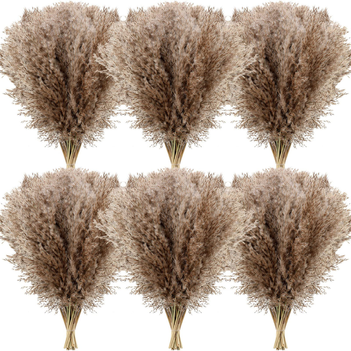 Janinka 100 Pcs Dried Pampas Grass Decor Bulk 17 Inch, Brown