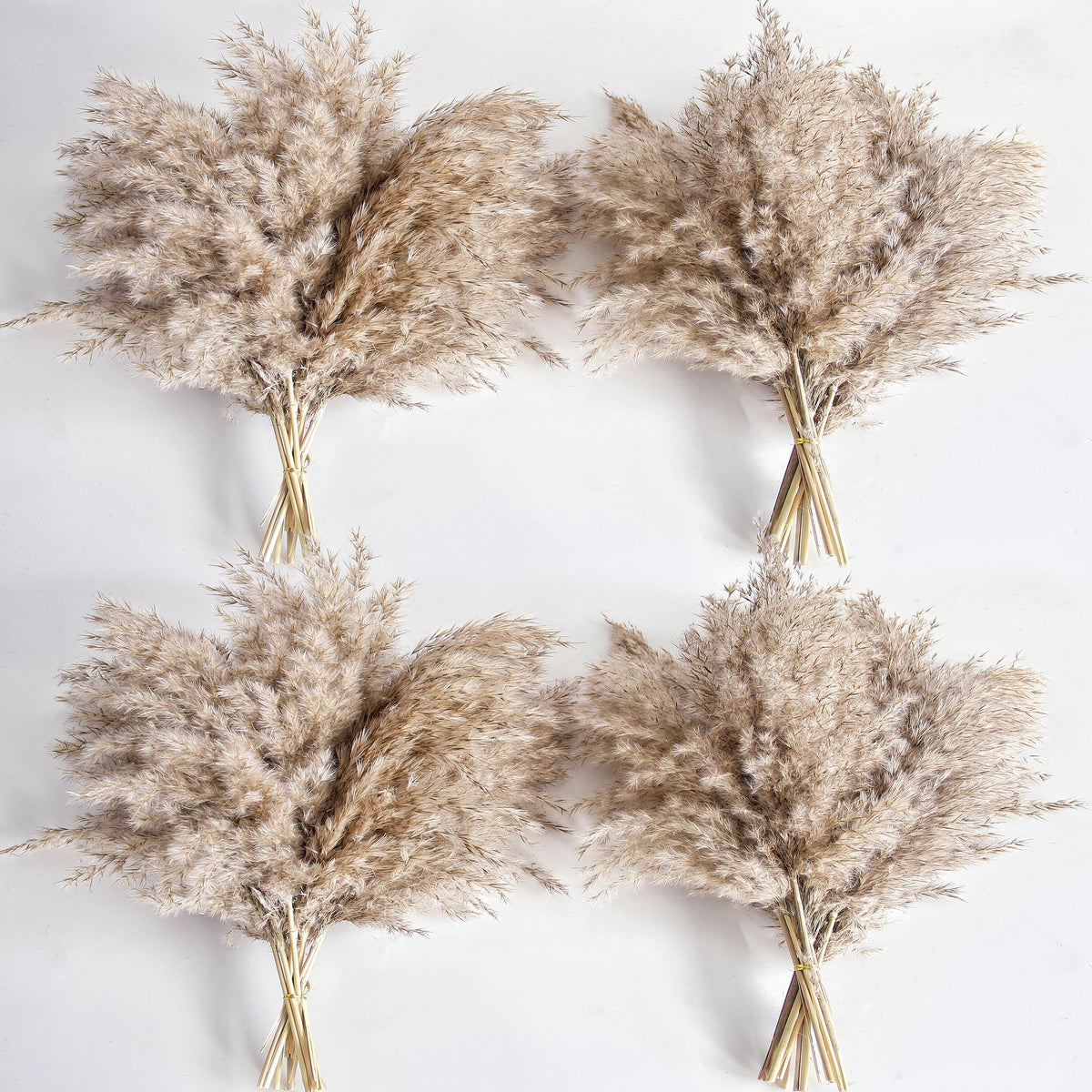 40PCS White Pampas Grass for Home Decor - Elegant Boho Decor - Premium Quality Pampas Grass Stems - Perfect for House, Nursery, Western, Wedding, Table, and Bohemian Decor