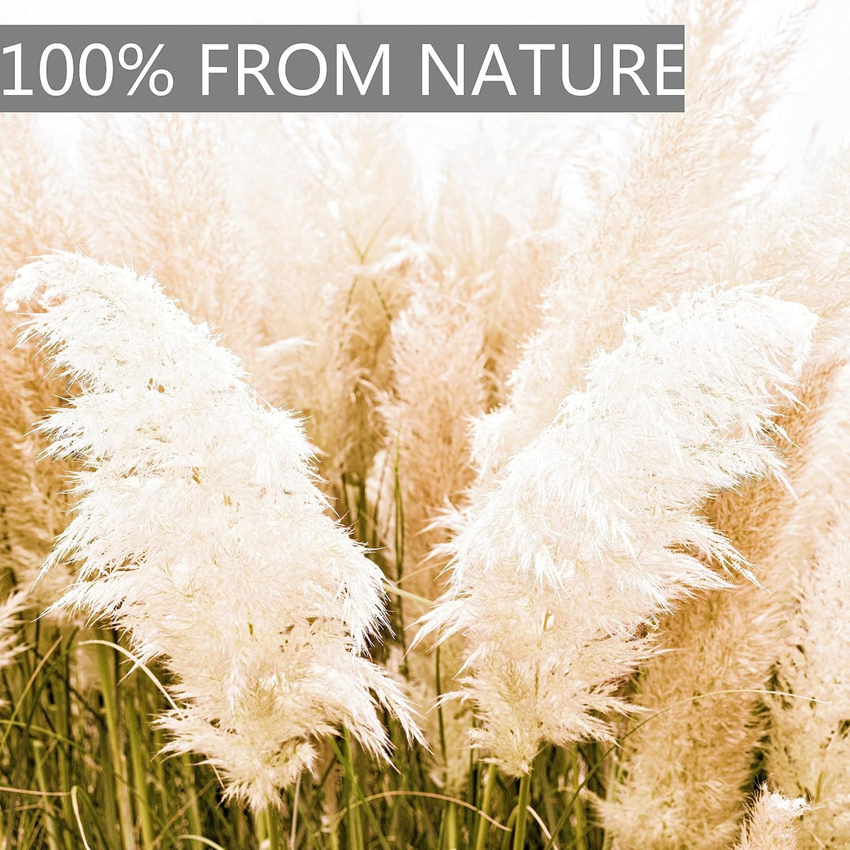 20pcs 40'' Pampas Grass Tall Decor - Pompas Floral, Tall Pampas Grass for Floor Vases, Living Room Floor, Floor Plants, Plumas para, and Grass Wall Decor