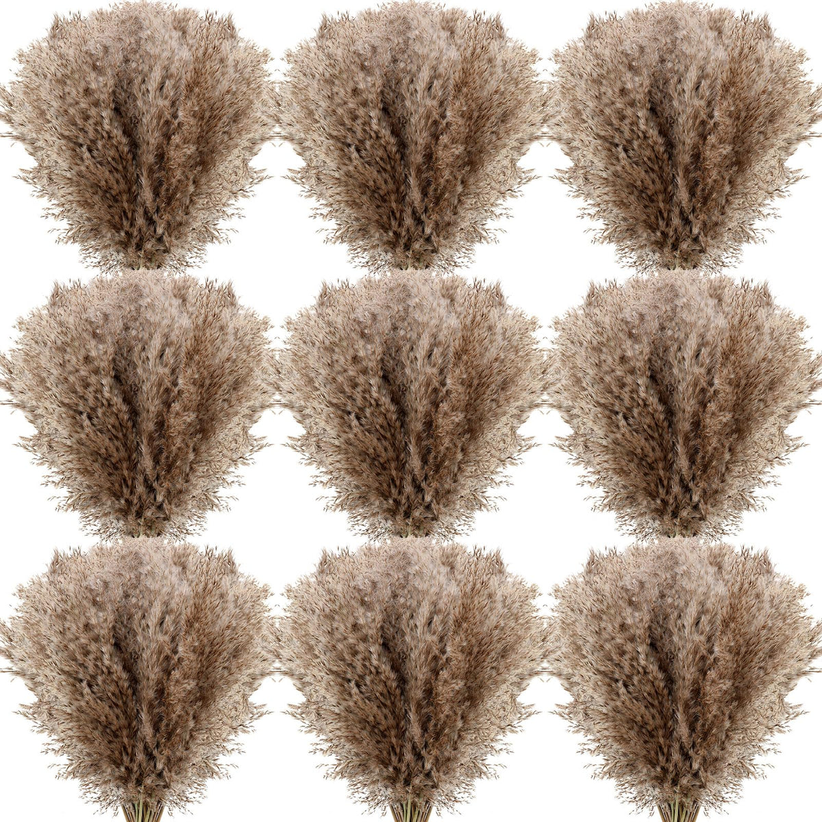 Janinka 100 Pcs Dried Pampas Grass Decor Bulk 17 Inch, Brown