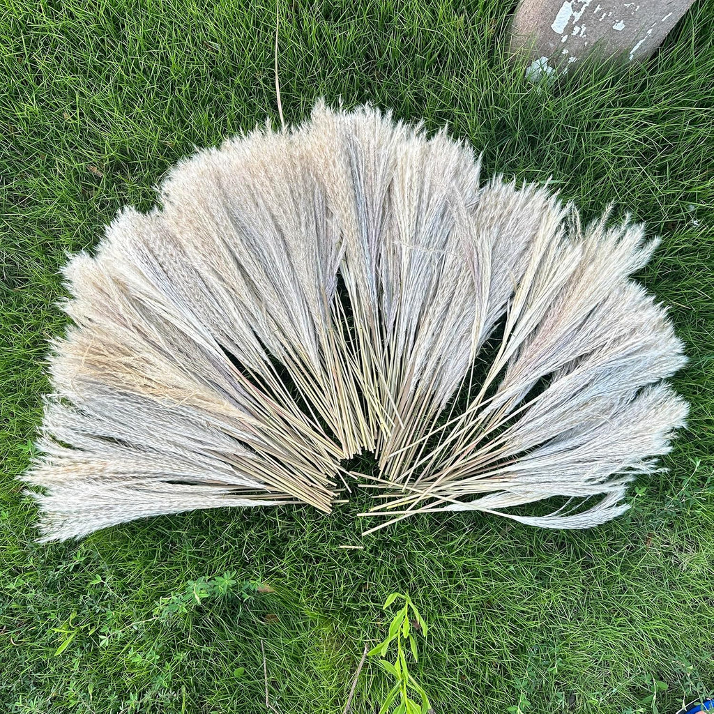 200 PCS Dried Pampas Grass Bouquet, Boho Table Decor,Fall Home Decorations, Super Quantity,for Wedding Boho Flowers Home Table Decor, Rustic Farmhouse Party (17 inch )