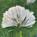 200 PCS Dried Pampas Grass Bouquet, Boho Table Decor,Fall Home Decorations, Super Quantity,for Wedding Boho Flowers Home Table Decor, Rustic Farmhouse Party (17 inch )